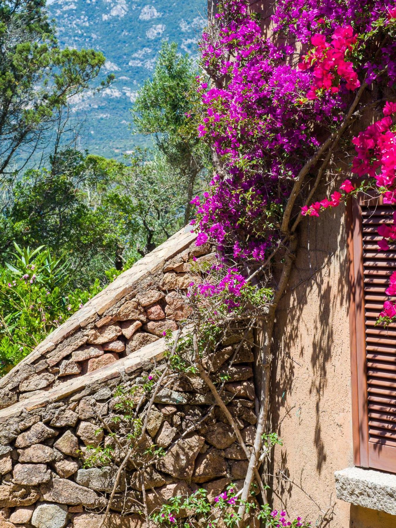 Caletta 10 - Klodge Porto Rotondo Luaran gambar