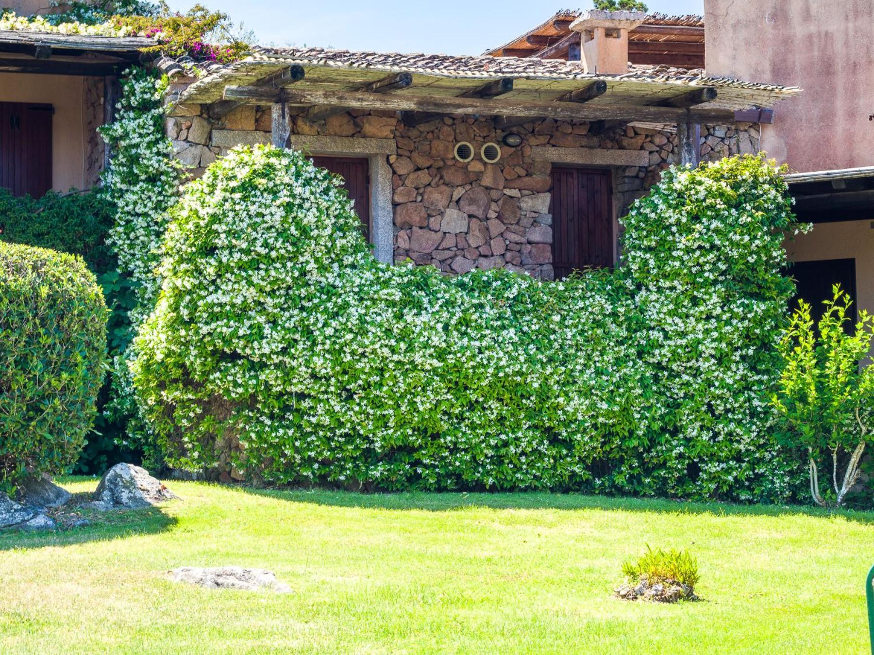 Caletta 10 - Klodge Porto Rotondo Luaran gambar